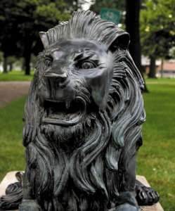 Longview lions